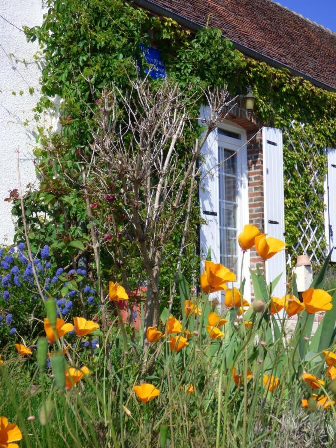 Chambres D'Hotes Les Muscaris Feins-en-Gatinais Εξωτερικό φωτογραφία